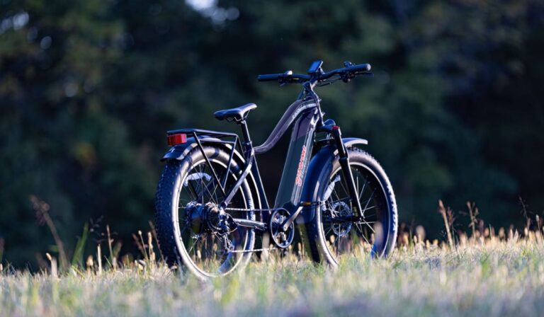 Mini fat tire ebike