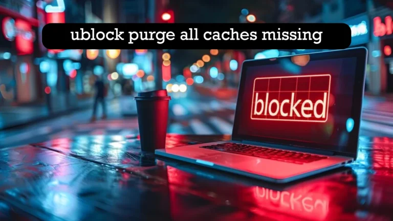 ublock purge all caches missing