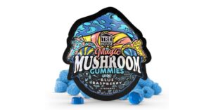 Mushroom Gummies 