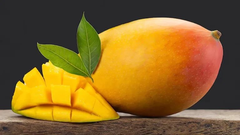 alfonso mango