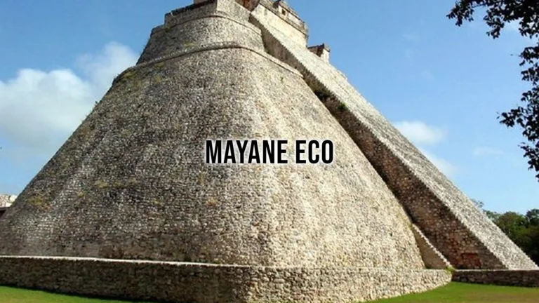 mayane eco