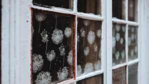 How to Clean Windows Effectively