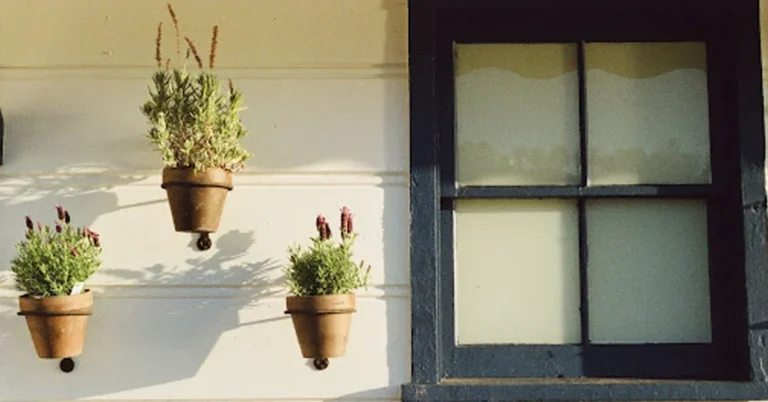 Home’s Curb Appeal