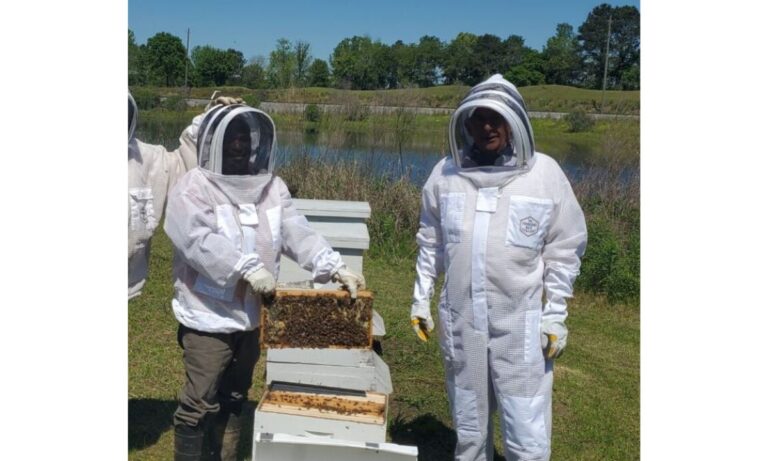 Suits for Bees