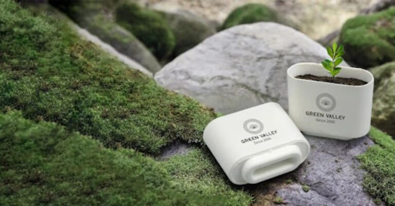 Eco-friendly Beauty Companies