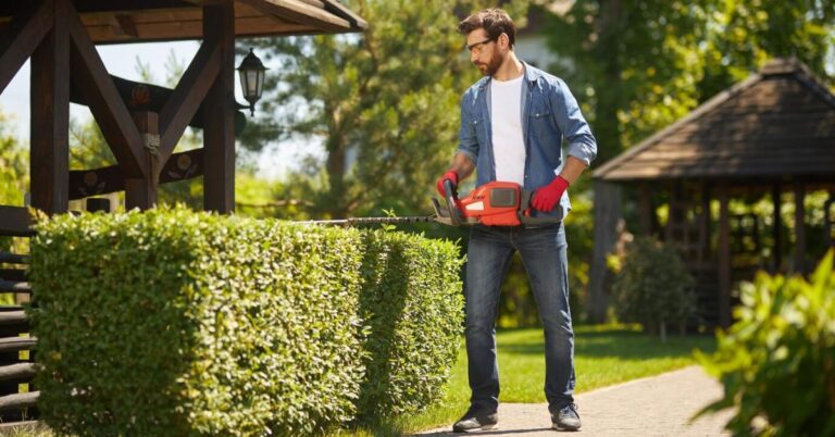 Professional Lawn Care Services