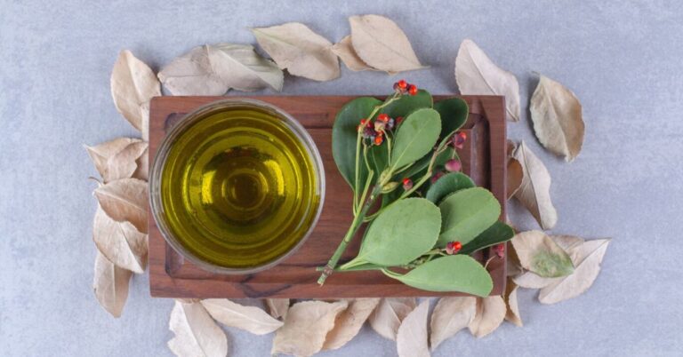 Premium Aniseed Oil