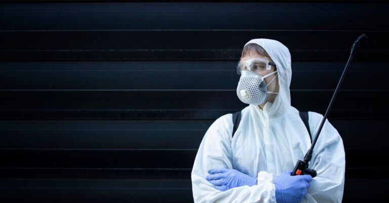 Why Professional Critter Removal Is Safer Than DIY: What You Need to Know