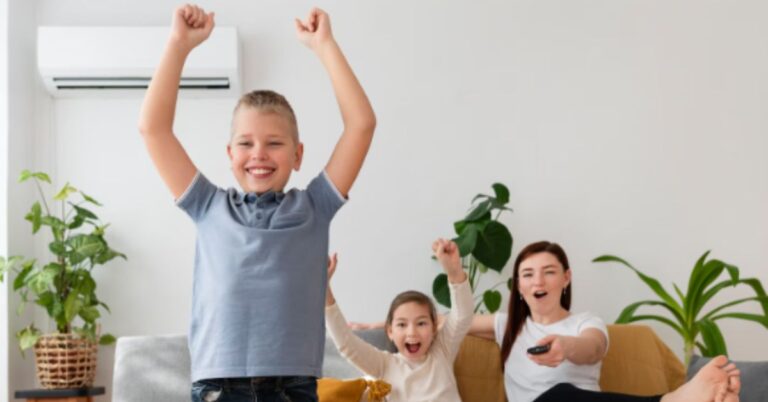 Home Air Conditioner